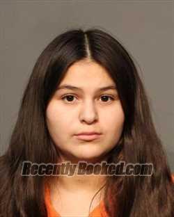 Recent Mugshot Image for MAGDALENA ALMA PINA HERNANDEZ in Polk County, Iowa
