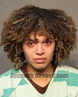 Recent Mugshot Image for RILEIGH EMANI WILKINS in Polk County, Iowa