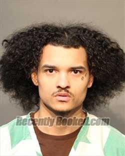 Recent Mugshot Image for MCKENNON MALIQUE WILSON in Polk County, Iowa