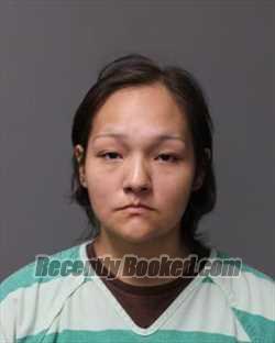 Recent Booking / Mugshot for AMANDA L REED in Polk County, Iowa