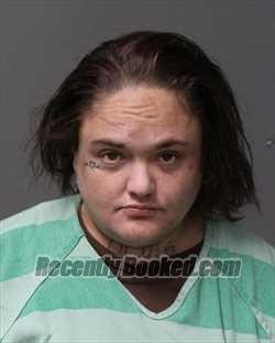 Recent Booking / Mugshot for SAMANTHA DOLORES IRVING in Polk County, Iowa