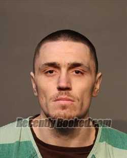 Recent Mugshot Image for TYLER JAMES MCNEW in Polk County, Iowa