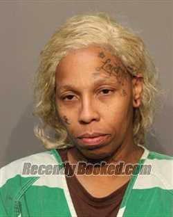 Recent Mugshot Image for KAMEELAH YASMEEN LOGAN in Polk County, Iowa