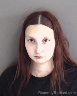 Recent Mugshot Image for ALLYSON LEE DAVIS in Story County, Iowa