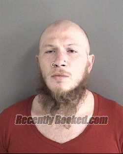 Recent Mugshot Image for DAVID JOHN ROBELL in Story County, Iowa