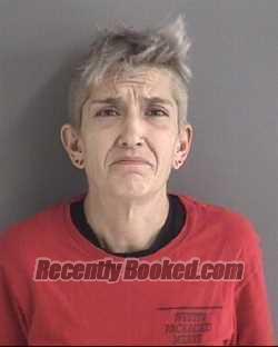 Recent Mugshot Image for KATE MARIE REYNOLDSON in Story County, Iowa