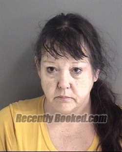 Recent Booking / Mugshot for LISAANN NEWTON in Story County, Iowa