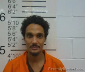 Recent Mugshot Image for LUIS DAMIAN HERNANDEZ in Warren County, Iowa