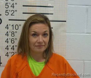 Recent Mugshot Image for MEGAN JO KINGSLEY-HARGIN in Warren County, Iowa