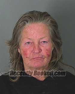 Recent Mugshot Image for TAMMY GREEN in Spartanburg County, South Carolina