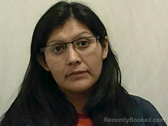 Recent Mugshot Image for ALLISON LEANN QUAGIGANT in Bannock County, Idaho