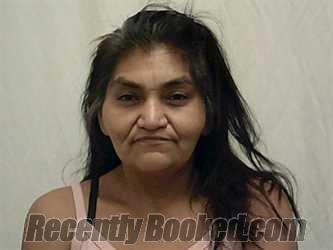 Recent Mugshot Image for NICOLE LEE UTE in Bannock County, Idaho