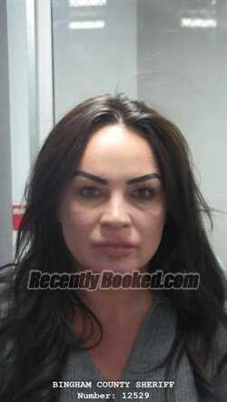 Recent Mugshot Image for KRISTINE NICOLE POTTER in Bingham County, Idaho