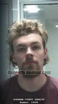 Recent Mugshot Image for TYLER DUSTIN LANE WRIGHT in Bingham County, Idaho