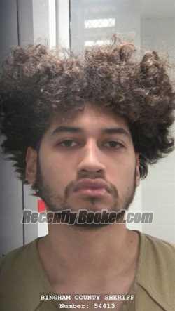 Recent Mugshot Image for OWEN DELFIN in Bingham County, Idaho