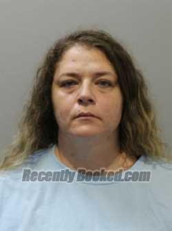 Recent Mugshot Image for ELIZABETH MORGAN in Blaine County, Idaho