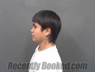 Recent Mugshot Image for DAVIEN ALVARADO in Cassia County, Idaho