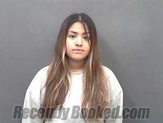 Recent Mugshot Image for KRUZELYNDA YSABEL CASTILLO in Cassia County, Idaho