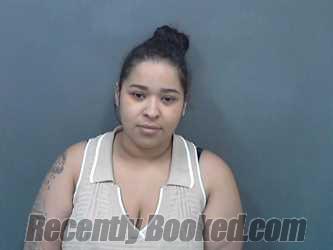 Recent Mugshot Image for DESTINY LYNN LEEVERS in Cassia County, Idaho