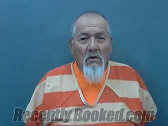 Recent Mugshot Image for DAVIS MYERS in Cassia County, Idaho