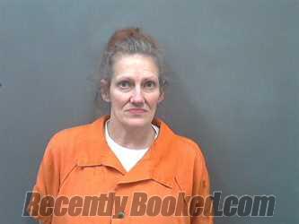 Recent Mugshot Image for JENNIFER PAMELA NELSON in Cassia County, Idaho