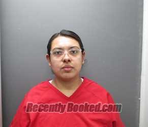 Recent Mugshot Image for RANEISHA LANETTE SHAELIN RUNNING in Clearwater County, Idaho
