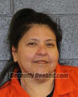 Recent Mugshot Image for PATRICIA GARCILAZO in Elmore County, Idaho