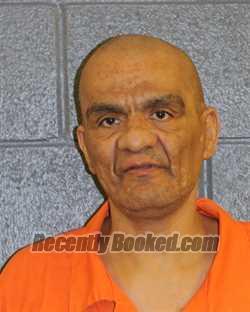 Recent Mugshot Image for FERNANDO MEZA CARRASCO in Elmore County, Idaho