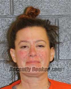 Recent Mugshot Image for TERRA JEANNE MCGILL in Elmore County, Idaho