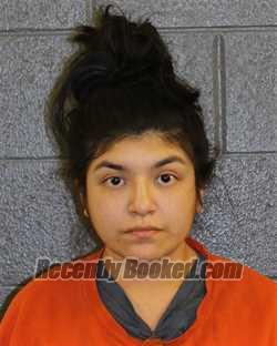 Recent Mugshot Image for AMBER MARIE RAMOS in Elmore County, Idaho