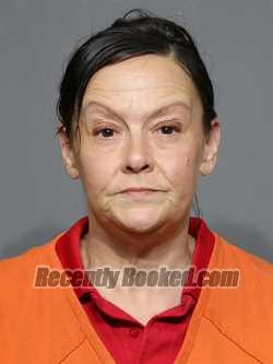Recent Mugshot Image for Kelly Anne Skeen in York County, South Carolina