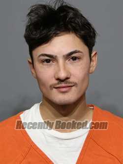 Recent Mugshot Image for Jacob Dominic Lyman in York County, South Carolina