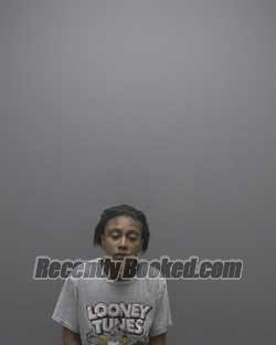 Recent Mugshot Image for DENISEE LACHELLE MCKEVER in Alamance County, North Carolina