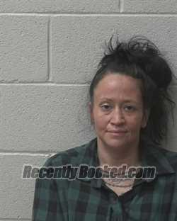 Recent Mugshot Image for FELICIA MARIE ELWELL in Alexander County, North Carolina