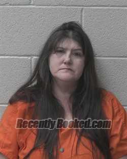 Recent Mugshot Image for BRANDI MARTIN in Alexander County, North Carolina