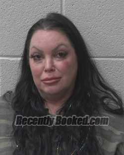Recent Mugshot Image for SHEREE ELIZABETH FOX in Alexander County, North Carolina
