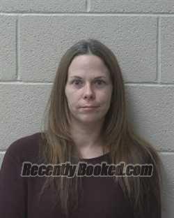 Recent Mugshot Image for TERI MICHELLE PITTS in Alexander County, North Carolina