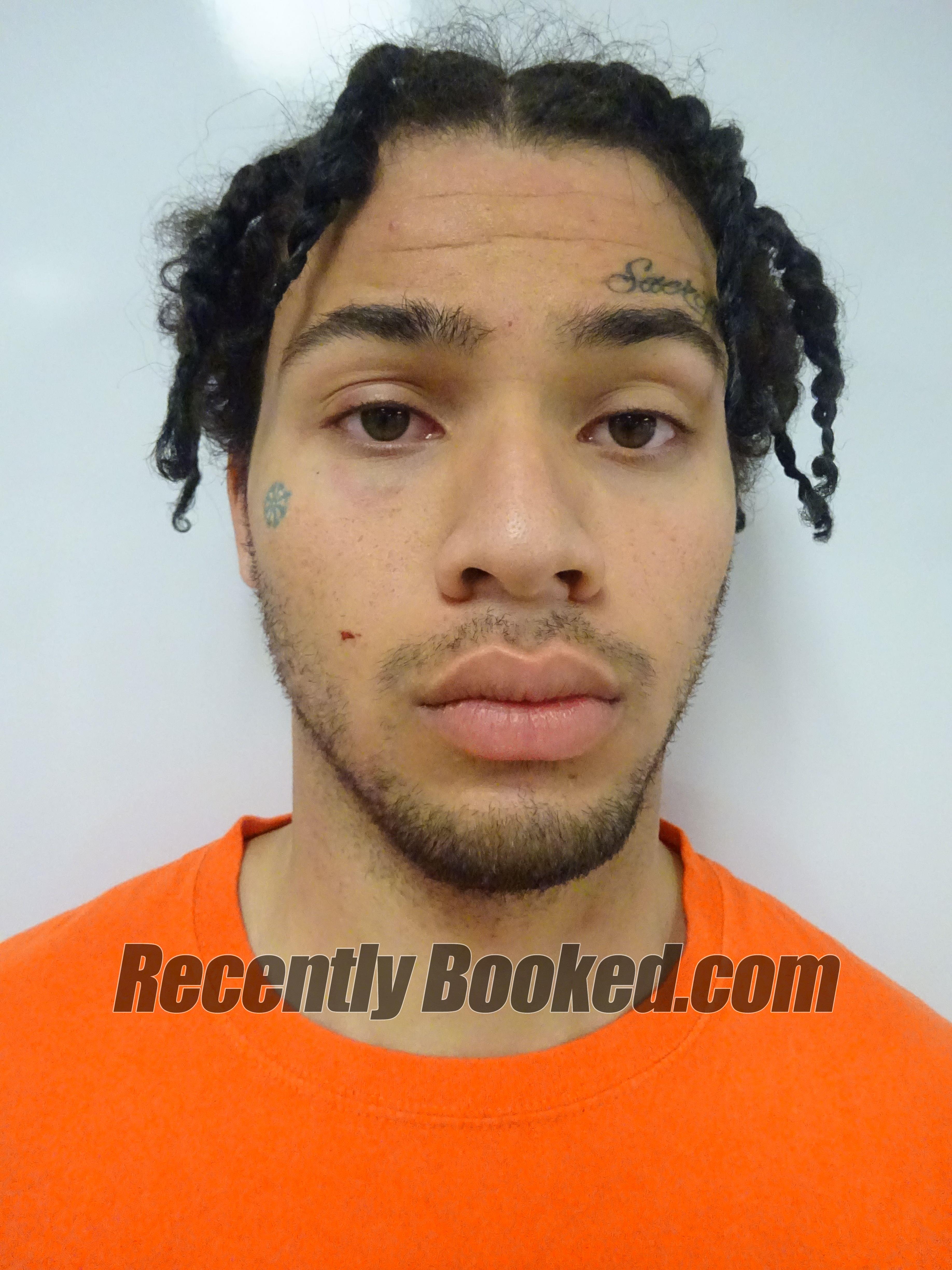 Fallermann Yannick Recent Booking / Mugshot for YANNICK FALLERMANN in Lake County, California