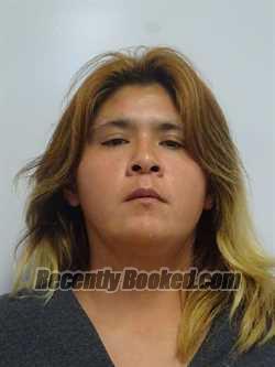 Recent Mugshot Image for SYLVIA LAWANNACHRISTINE HOAGLEN in Lake County, California