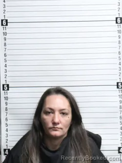 Recent Mugshot Image for HEATHER RUTH EDWARDS in Brunswick County, North Carolina