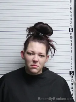 Recent Mugshot Image for KERRY LEE KORFF in Brunswick County, North Carolina