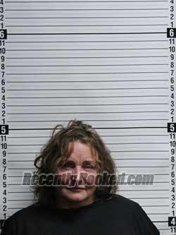 Recent Mugshot Image for VIVIAN LYNN PARRISH in Brunswick County, North Carolina