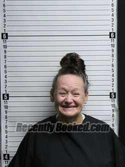 Recent Mugshot Image for SAMANTHA ANN STEVENS in Brunswick County, North Carolina
