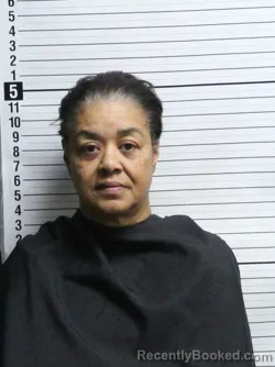 Recent Mugshot Image for ANITRA DELORES TILGHMAN in Brunswick County, North Carolina