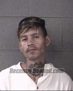 Recent Mugshot Image for DONALD JAKE STAMEY in Buncombe County, North Carolina