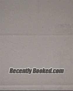 Recent Mugshot Image for SHAWNDRA KAY RUSSELL in Buncombe County, North Carolina