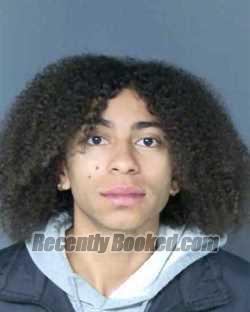 Recent Mugshot Image for TYLER M WILLIAMS in Eagle County, Colorado