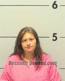 Recent Mugshot Image for SHARMAINE NICHOLE HARRIS in Burke County, North Carolina