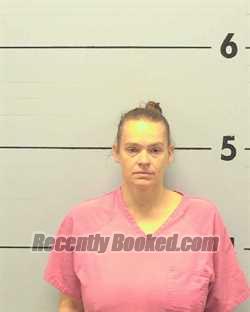 Recent Mugshot Image for STEPHANIE RENEE BUMGARNER in Burke County, North Carolina