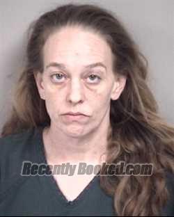 Recent Mugshot Image for MICHELLE LYNN WAMBACH in Cabarrus County, North Carolina